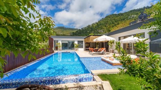 Villa Cotbus Luxus