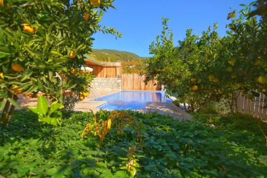 Villa Aya