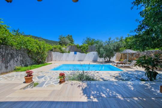 Villa Tweety