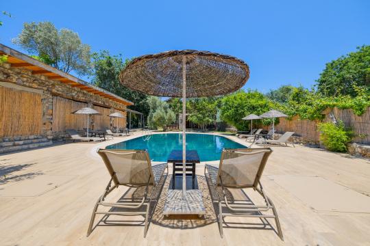 Villa Viente