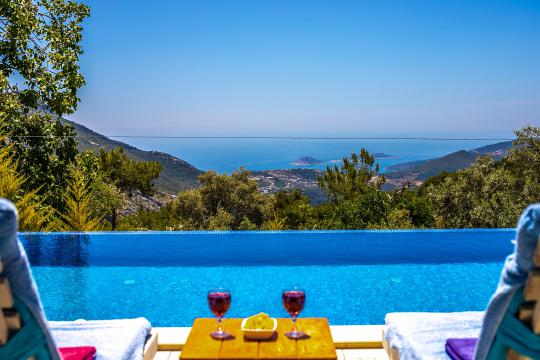 Villa Ferdi
