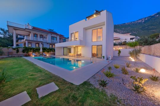 Villa ion