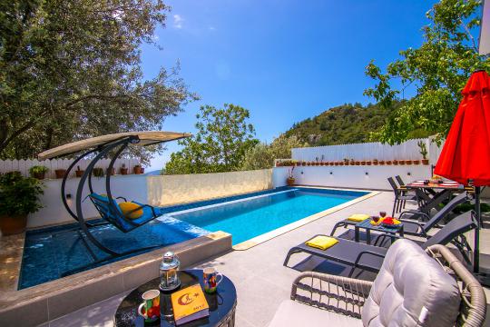 Villa Ferdi 2