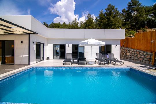 Villa Panhter