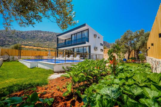 Villa Petra