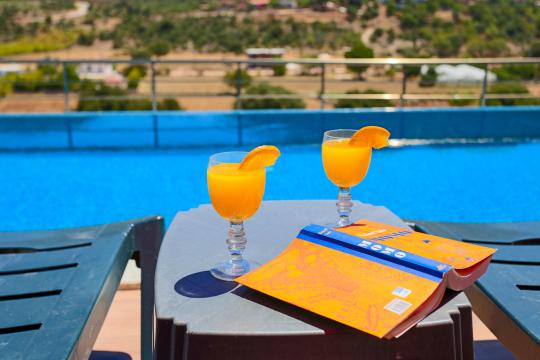 Villa Blitzer 2