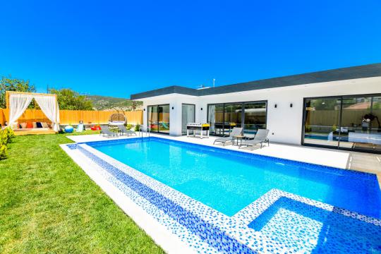 Villa Birne